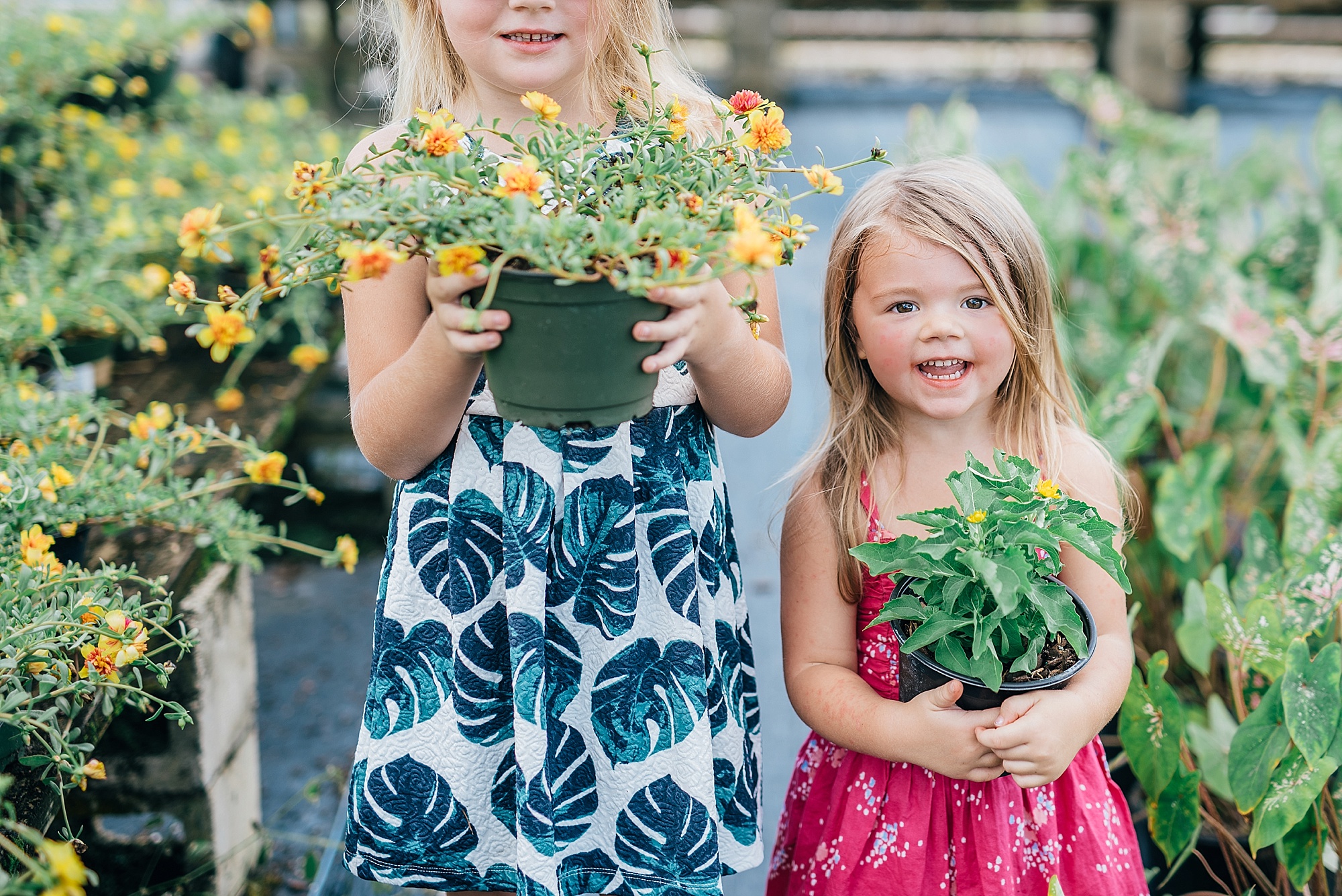 Sisters Family Greenhouse Session, Sarasota Photographer, Bradenton Photographer, H&H Nursery Plants