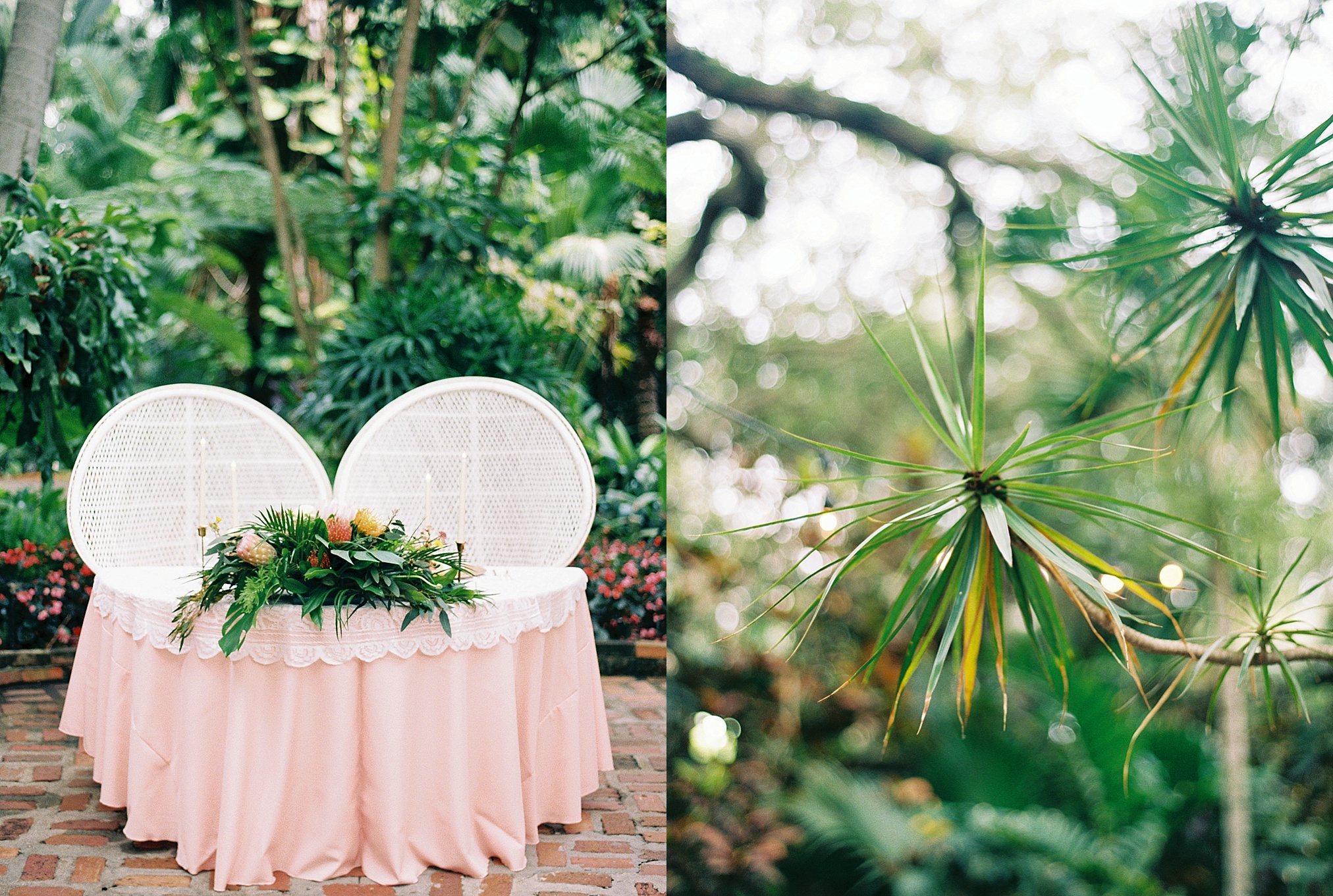 Sunken Gardens Wedding, St Petersburg Wedding Photographer, Tampa Film Wedding Photographer, Tropical wedding inspiration