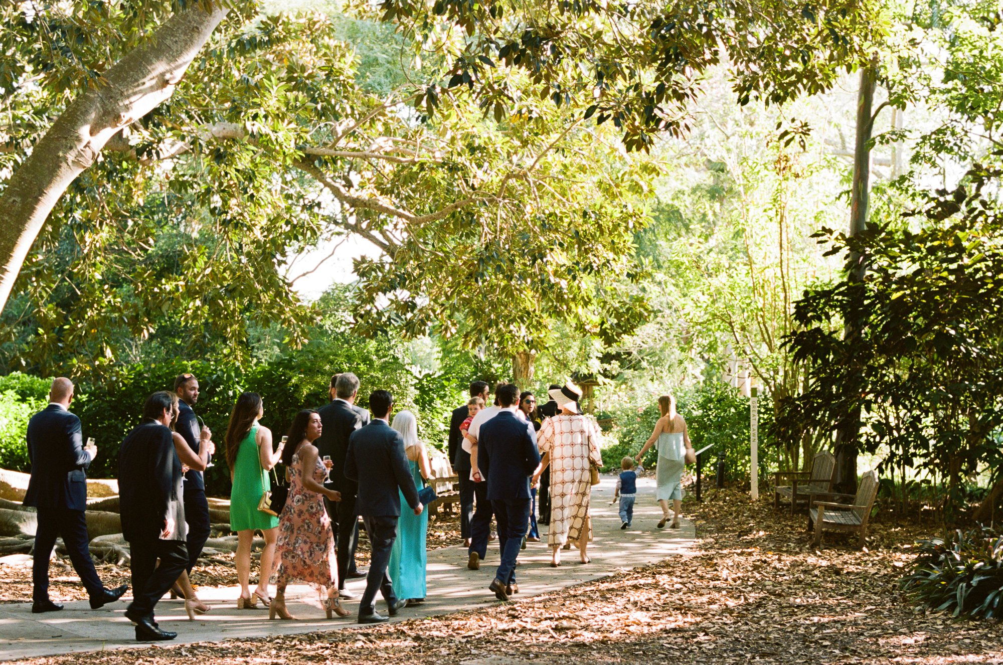 wedding guests at Marie Selby Botanical Gardens 