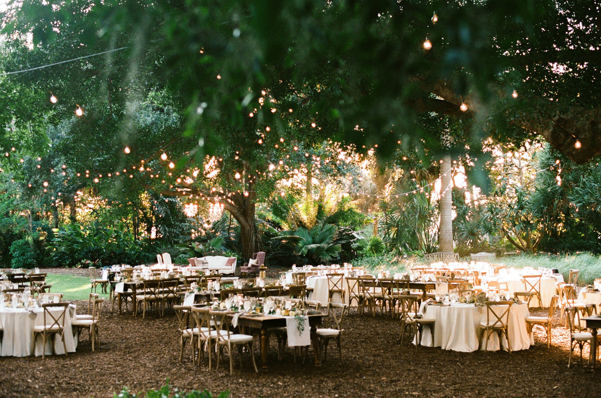 wedding reception under the banyan trees at selby gardens 