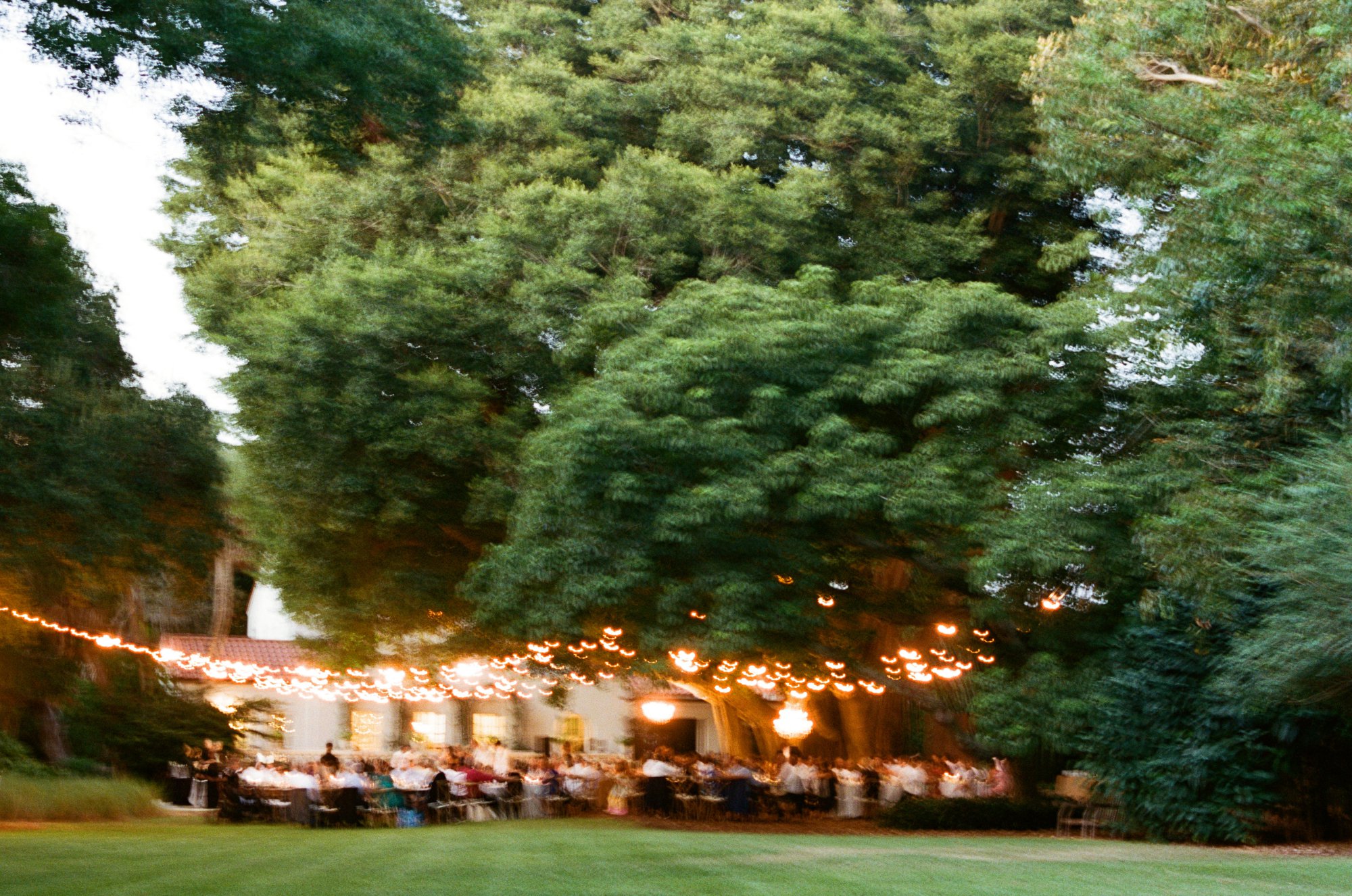 wedding reception at selby gardens 