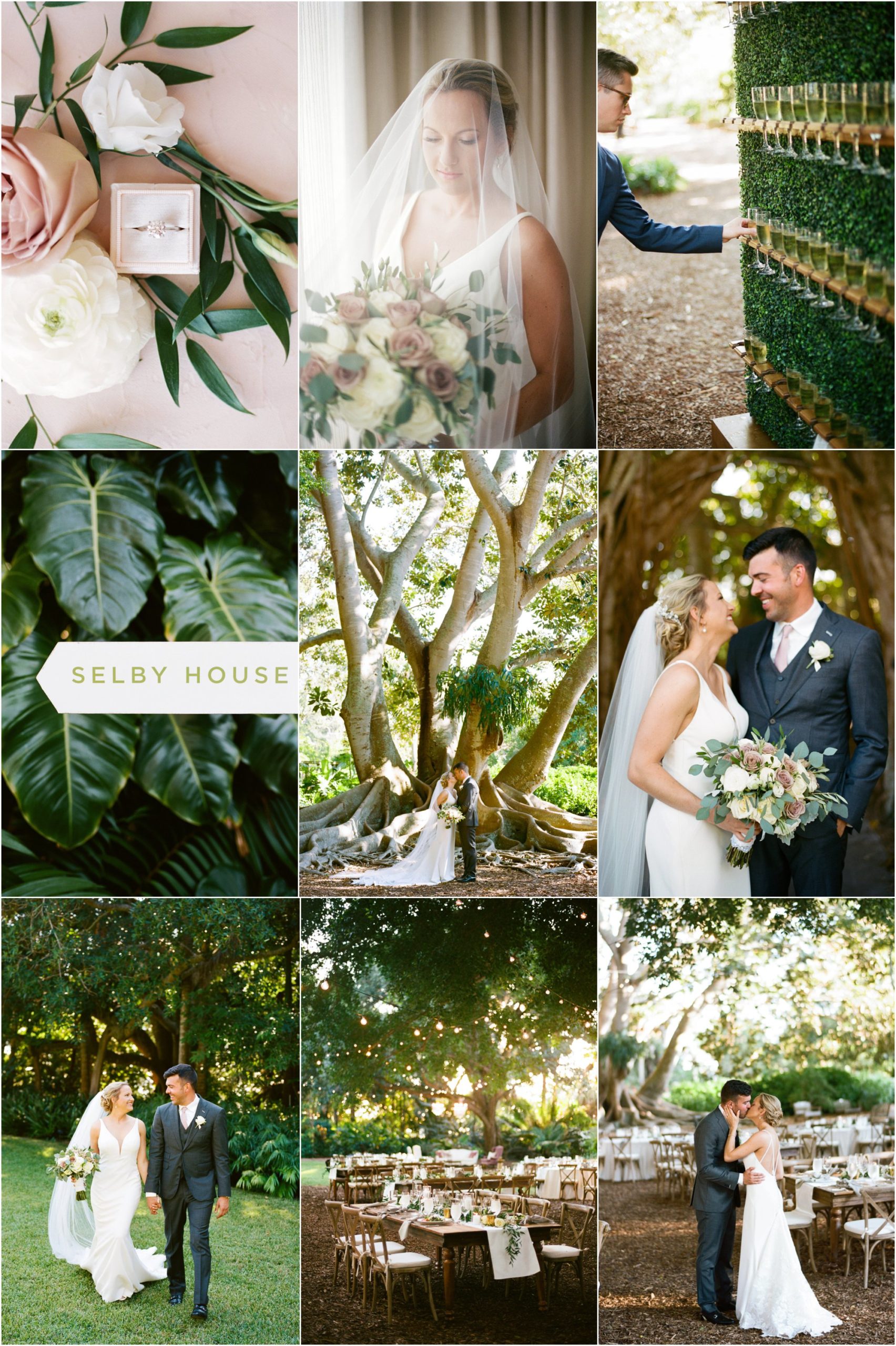 beautiful wedding photos at selby gardens 